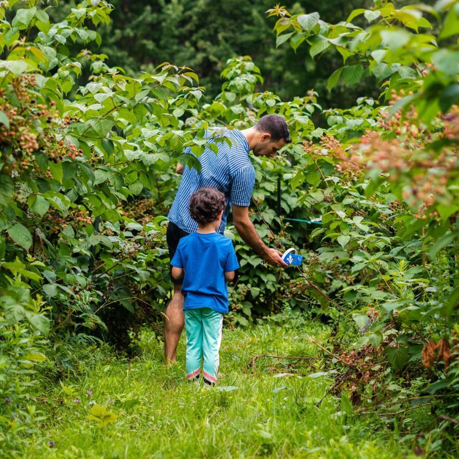 Gite O'Bordeleau (Adults Only) Luskville Exteriér fotografie